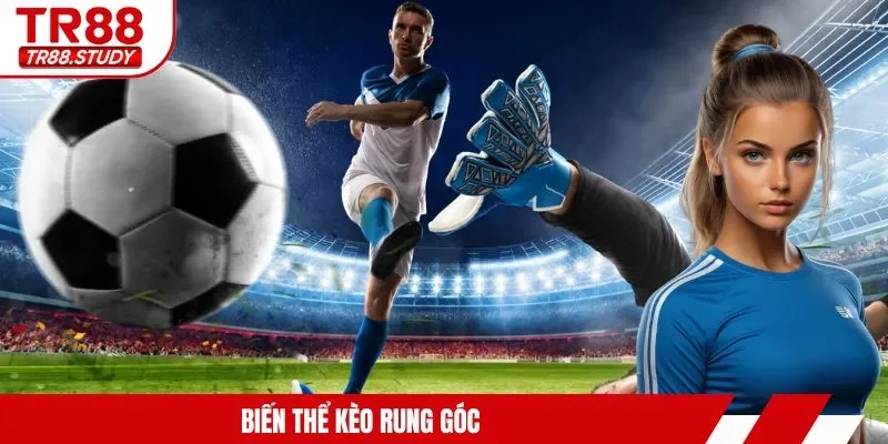 Cách Chơi Kèo Rung TR88 - Bỏ Túi Kinh Nghiệm Cá Cược Hay