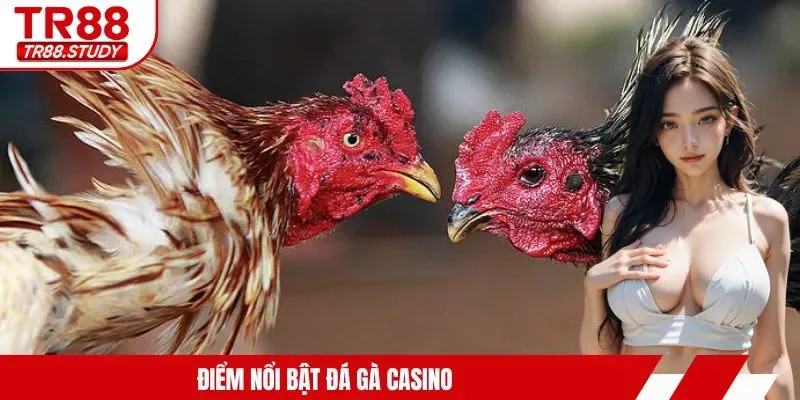 Đá Gà Casino TR88 - Trải Nghiệm Kịch Tính Từng Giây Phút
