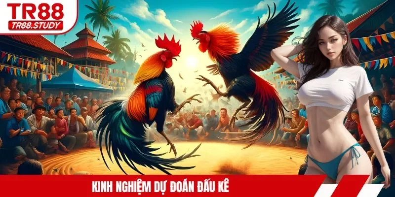Đá Gà Casino TR88 - Trải Nghiệm Kịch Tính Từng Giây Phút