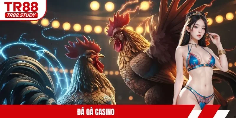Đá Gà TR88 – Tìm Ra Chiến Kê Và Các Trận Chiến Kịch Tính