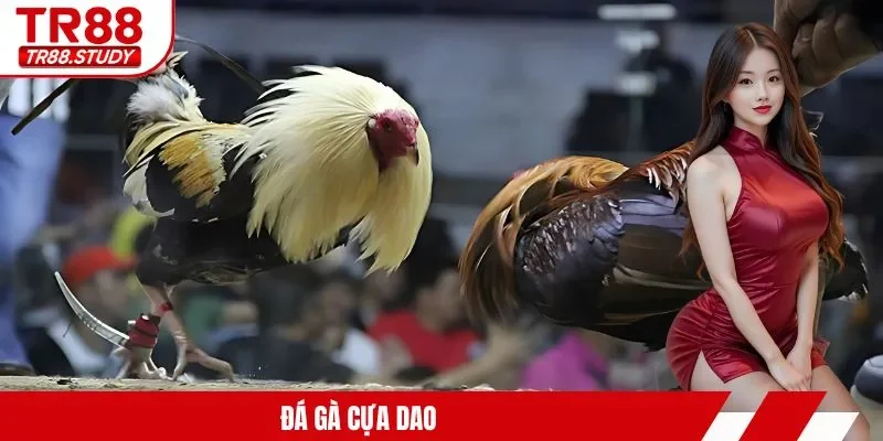 Đá Gà TR88 – Tìm Ra Chiến Kê Và Các Trận Chiến Kịch Tính