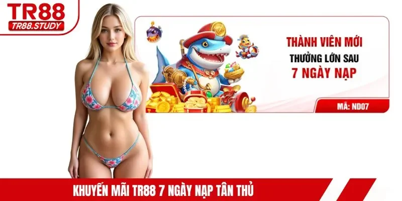Top 4 Chương Trình Khuyến Mãi TR88 Nổi Bật Đang Áp Dụng