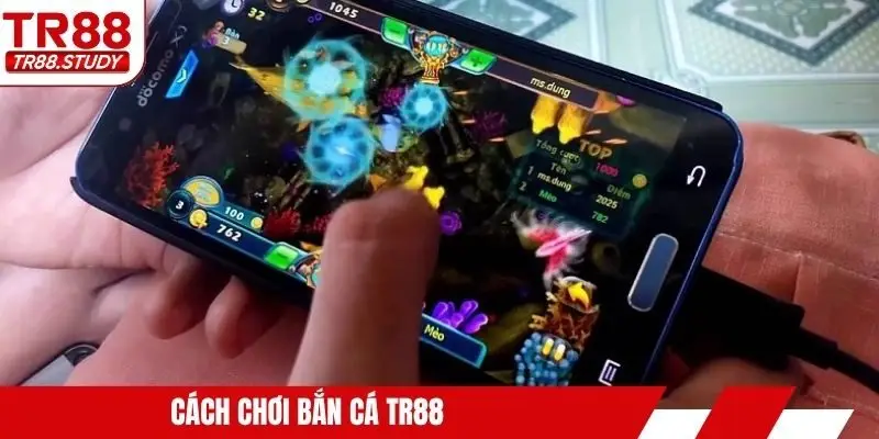 Tin Tức TR88 - Luôn Cập Nhật Xu Hướng Mỗi Ngày