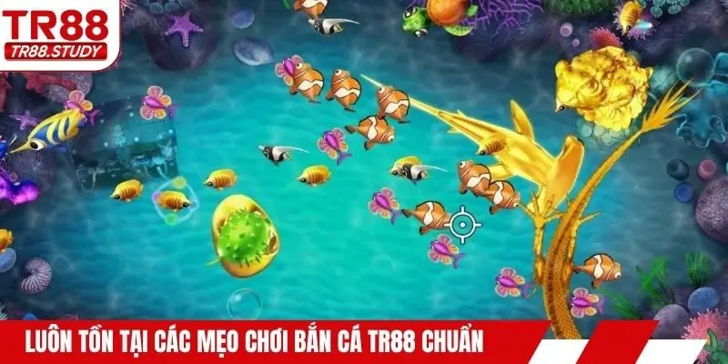 Mẹo Chơi Bắn Cá TR88 - Tip Săn Thưởng Bất Bại 2026